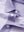 Detail: collar opening of lavenderwhite stripe upgraded two-tone striped quick dry polo shirt.