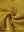 Close-up of the inner and outer fabric of full zip fleece hoodied jacket in yellow, showing exture and finish